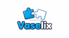 Vaselix puzzle vase