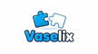 Vaselix puzzle vase